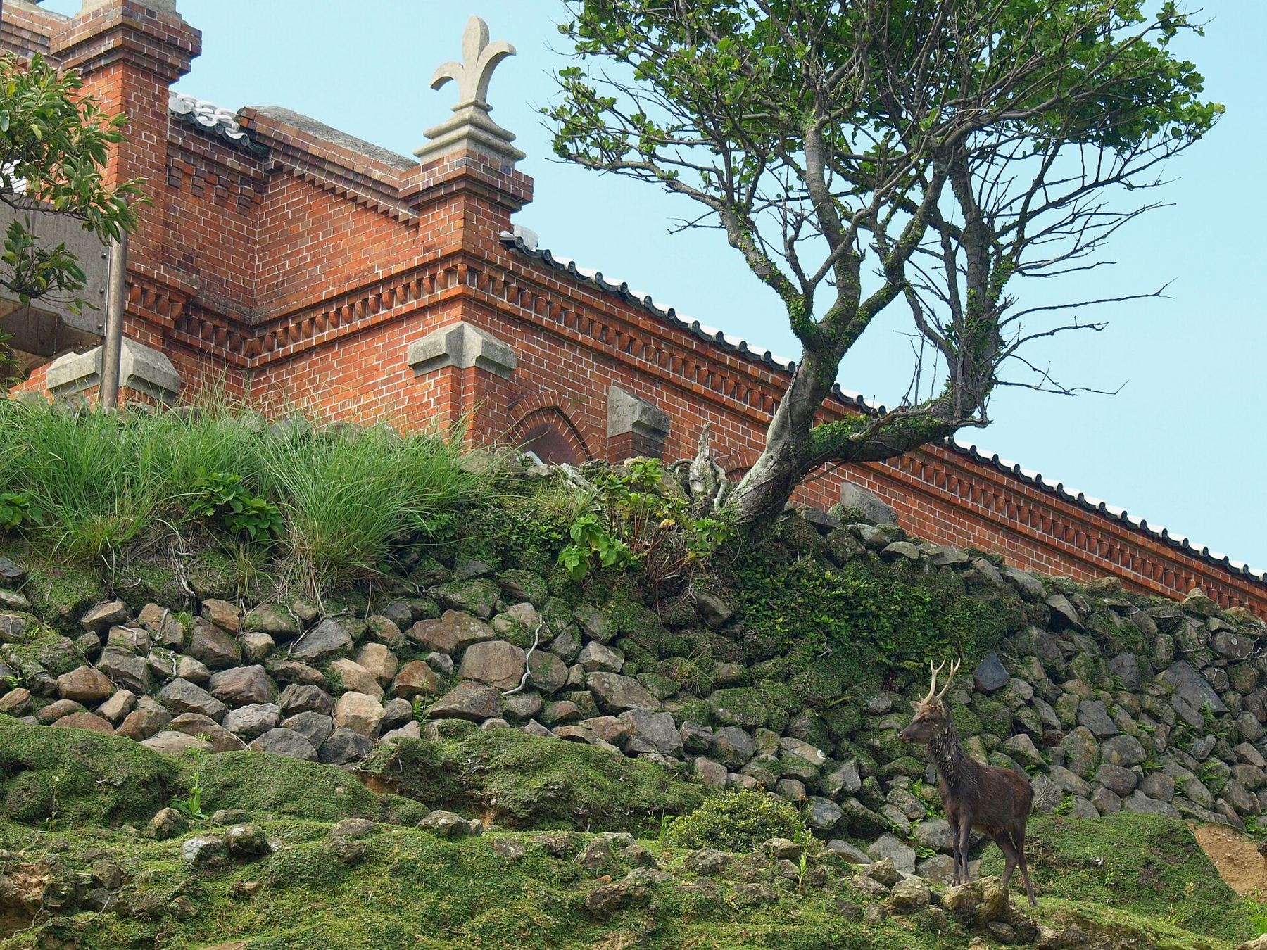 Nozaki Island2010B.jpg